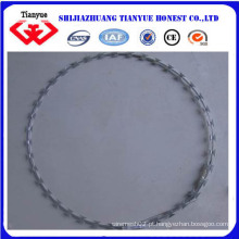 Electro galvanizado Razor Wire (TYB - 0069)